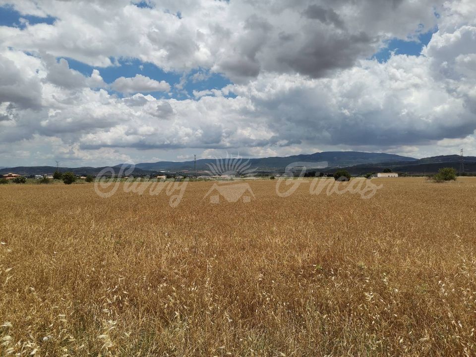 Helårsgrund i Yecla, Murcia - foto 2